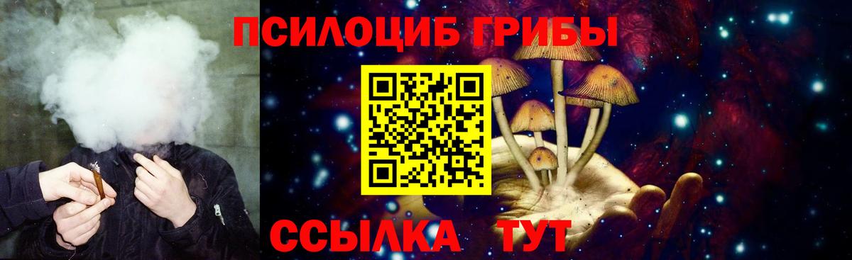 Псилоцибиновые грибы мицелий  Псилоцибиновые грибы ЛСД  купить наркотик  Краснознаменск  Вход с VPN 