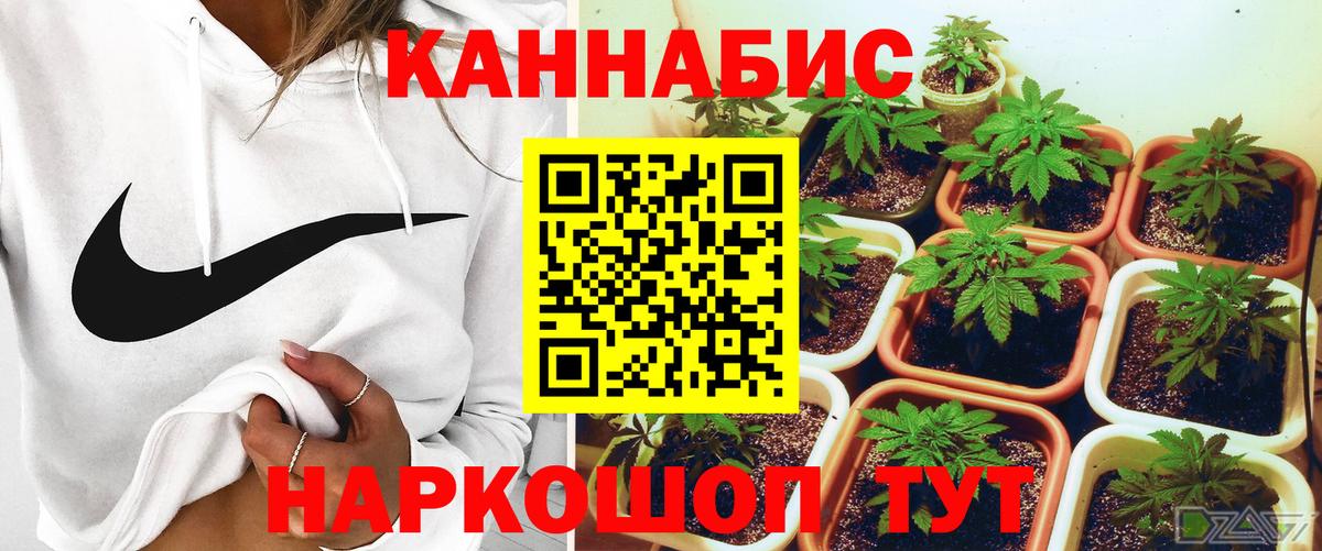 Шишки марихуана AK-47  Вход с VPN  Краснознаменск  Каннабис SATIVA & INDICA 